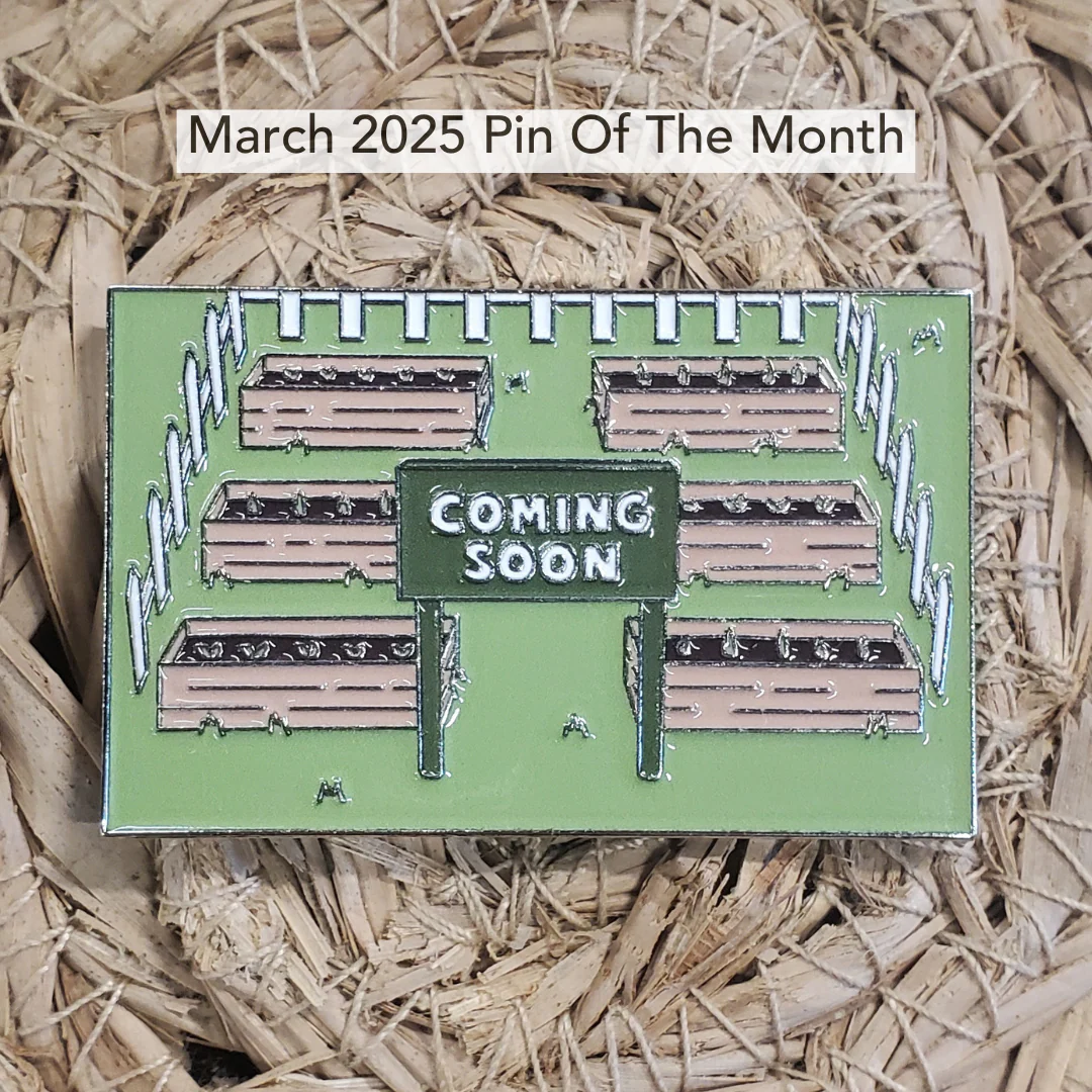 Pin of the Month *Limited Edition* - Image 12