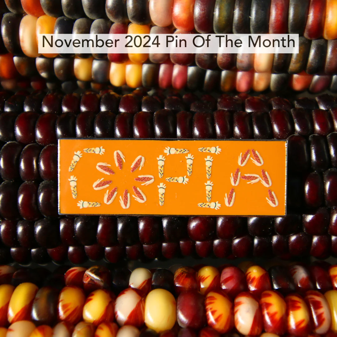 Pin of the Month *Limited Edition* - Image 15