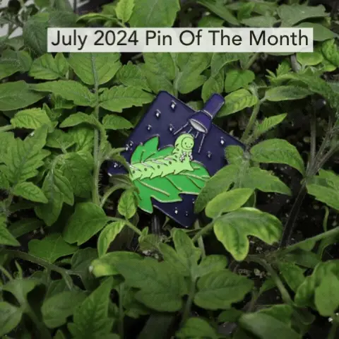 Pin of the Month *Limited Edition* - Image 19
