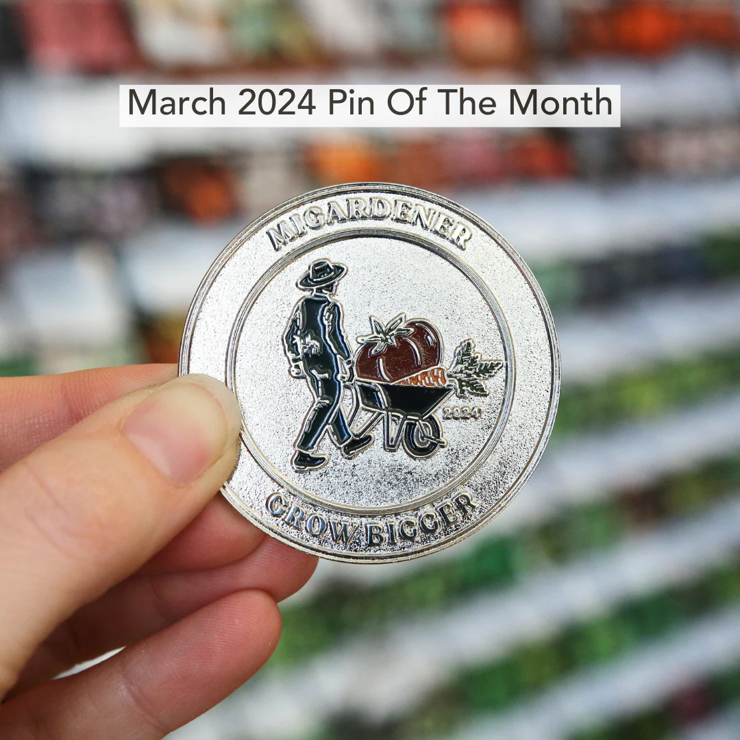 Pin of the Month *Limited Edition* - Image 23