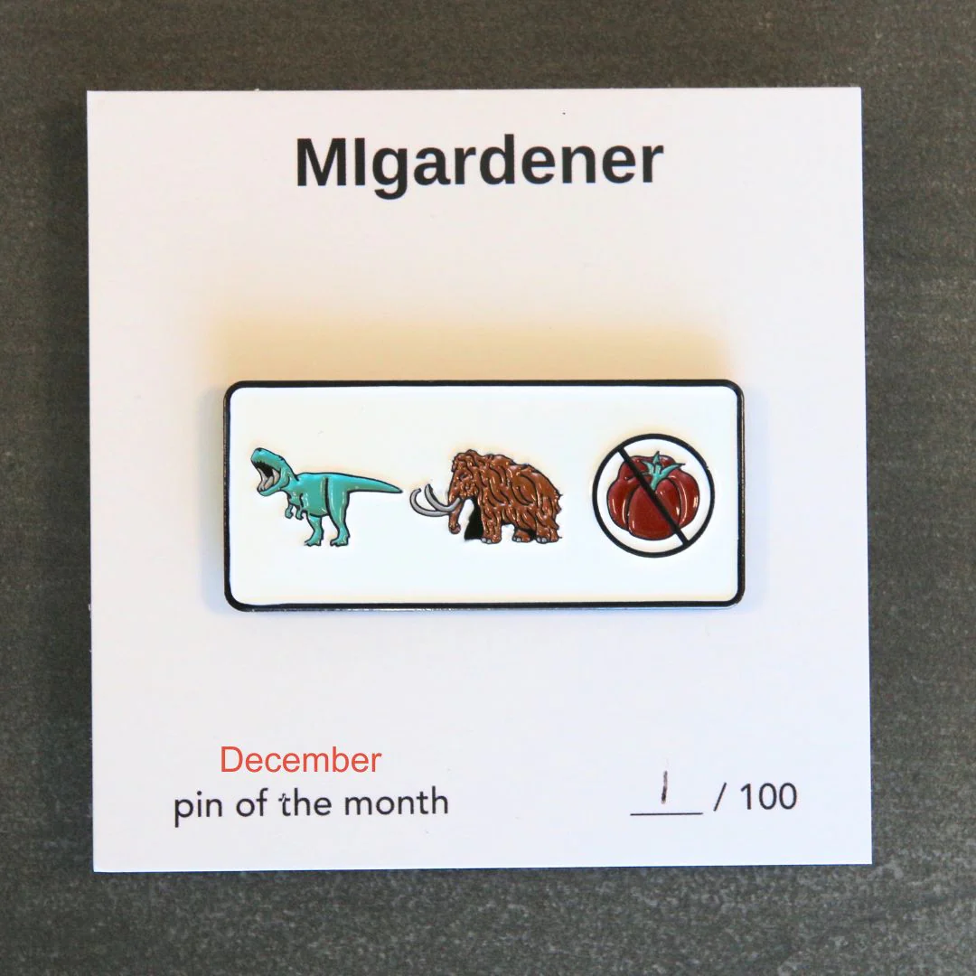 Pin of the Month *Limited Edition* - Image 26