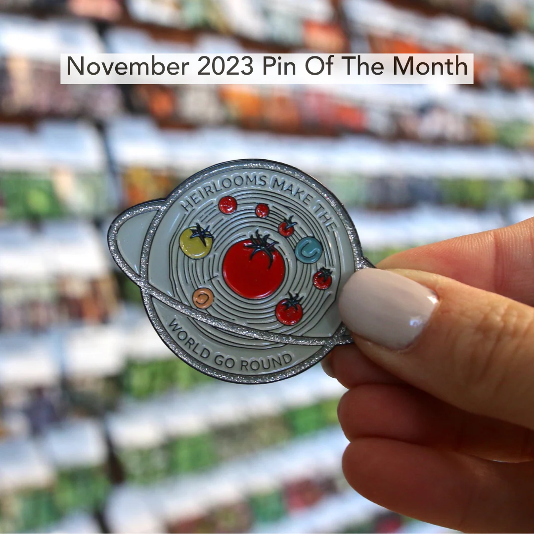 Pin of the Month *Limited Edition* - Image 27