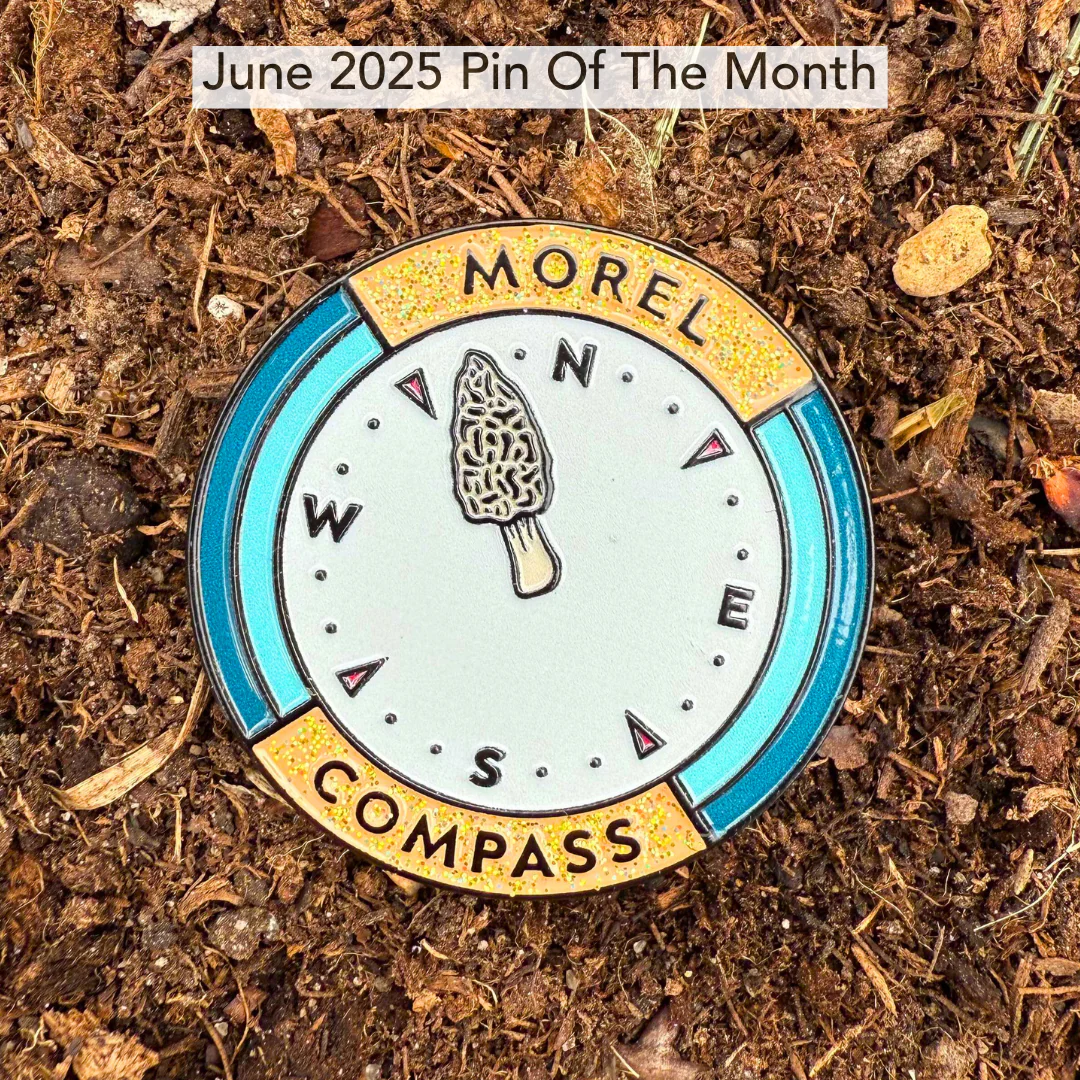 Pin of the Month *Limited Edition* - Image 9